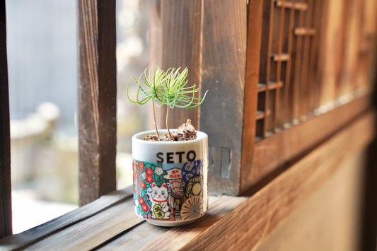 聖新陶芸×ますきち お芽でたおちょこ 愛知・瀬戸