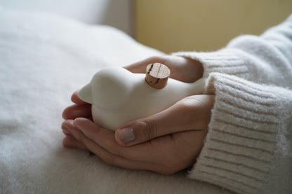 M.M.Yoshihashi | TETANPO（小鳥）　